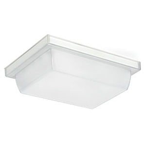 Rab VAN1LED12W Dimmable Vandalproof LED Canopy Light 120 - 277-Volt AC White Polyester Powder Coated